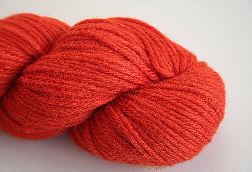 Royal Alpaca – Tangerine